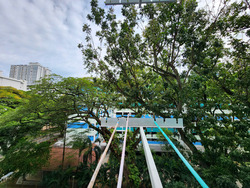 Telok Blangah Crescent (Bukit Merah),  #495668061